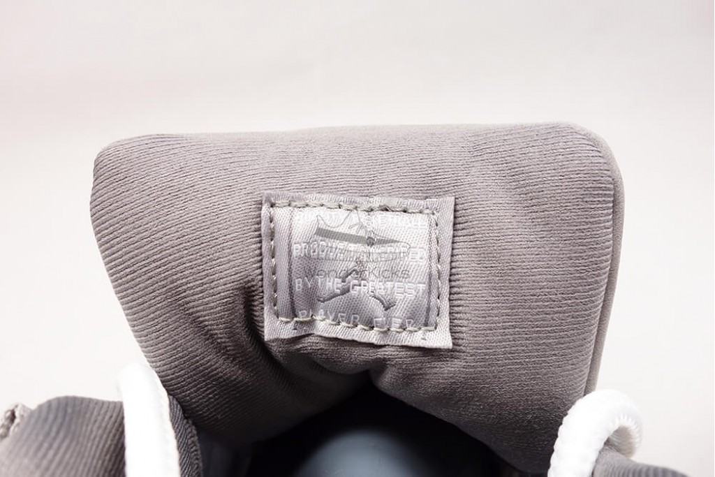 air jordan 11 retro cool grey (2021)