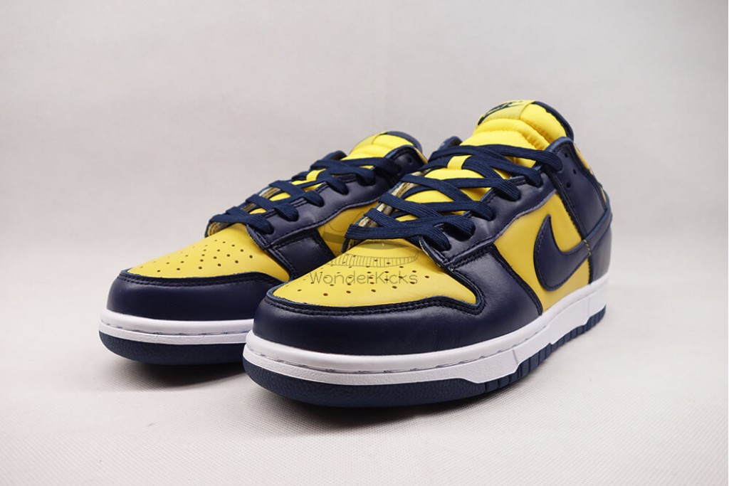 dunk low michigan (2021)