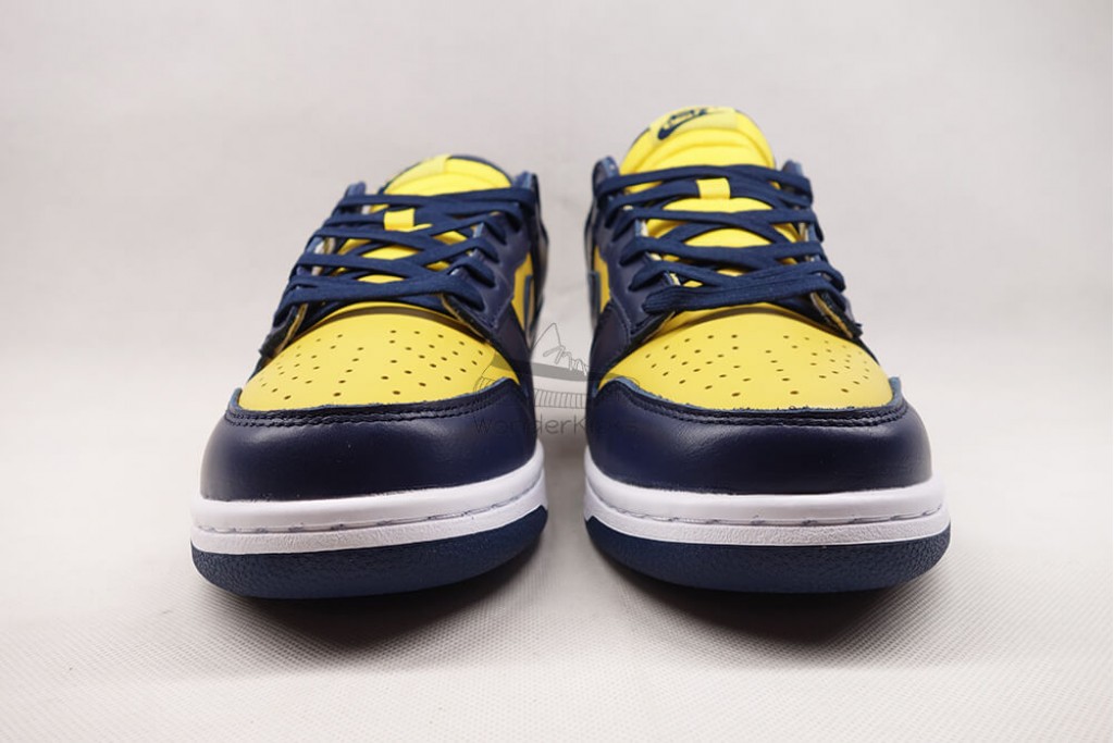 dunk low michigan (2021)