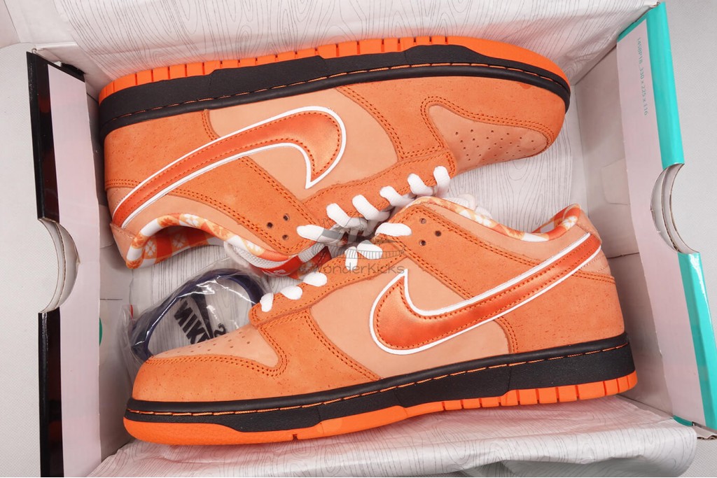 sb dunk low concepts orange lobster