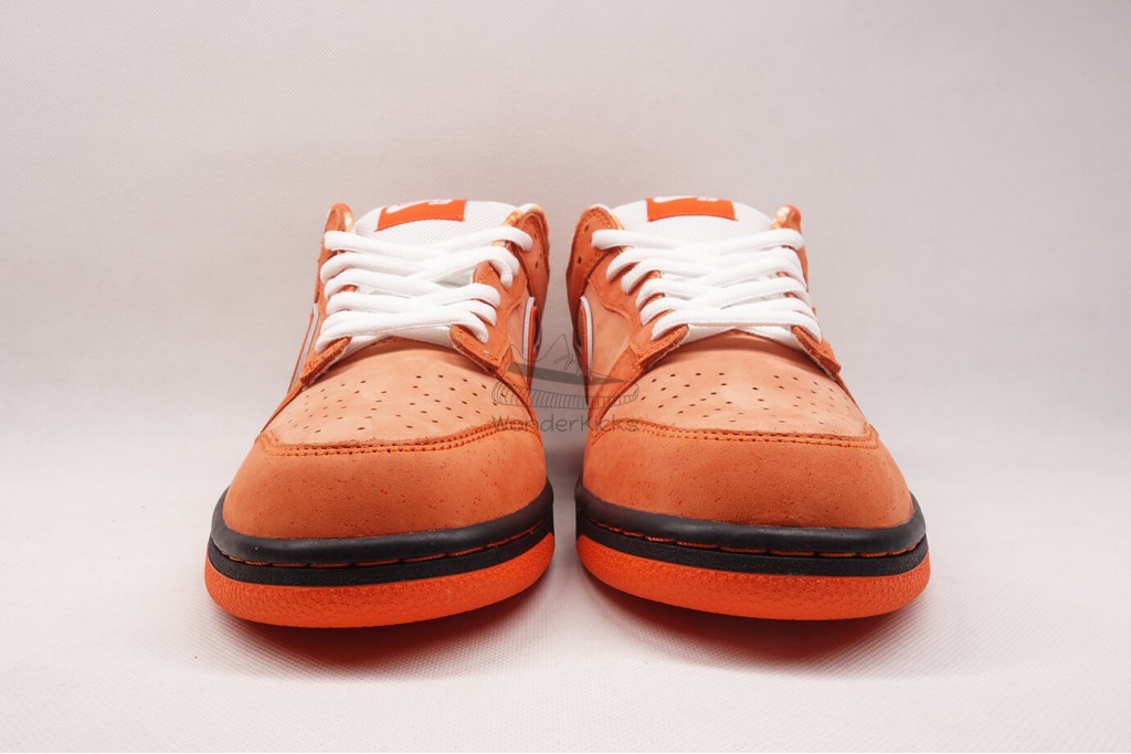 sb dunk low concepts orange lobster