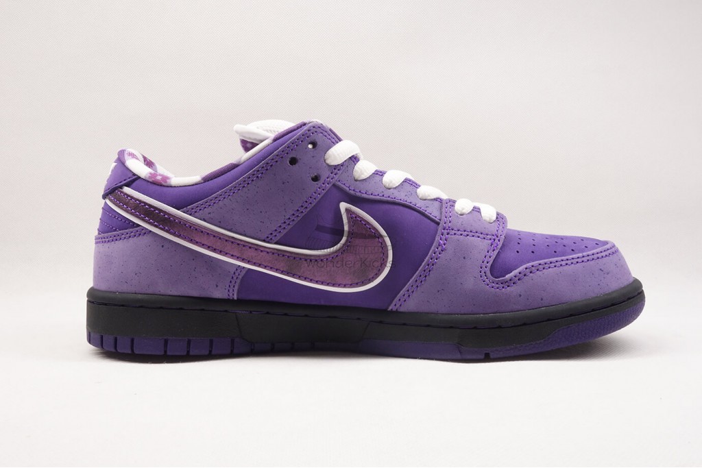 sb dunk low concepts purple lobster