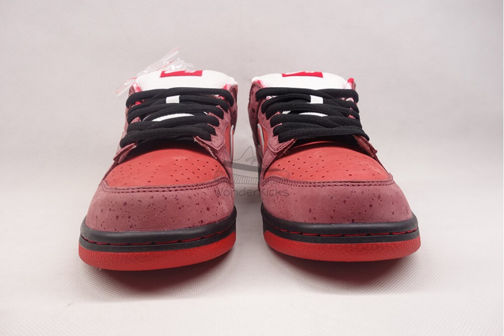 sb dunk low concepts red lobster