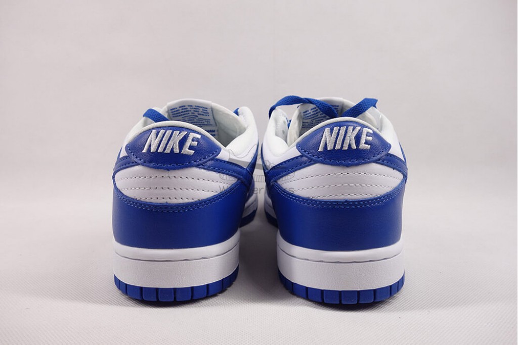 dunk low sp kentucky (2020)